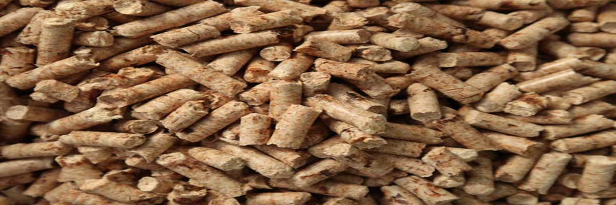 Wood Pellet Manufacturer in India | Master Mind Commercial